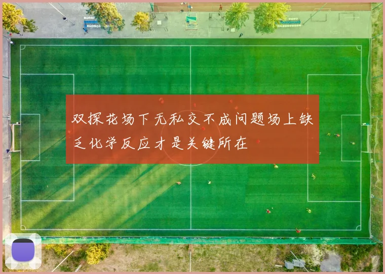 双探花场下无私交不成问题场上缺乏化学反应才是关键所在