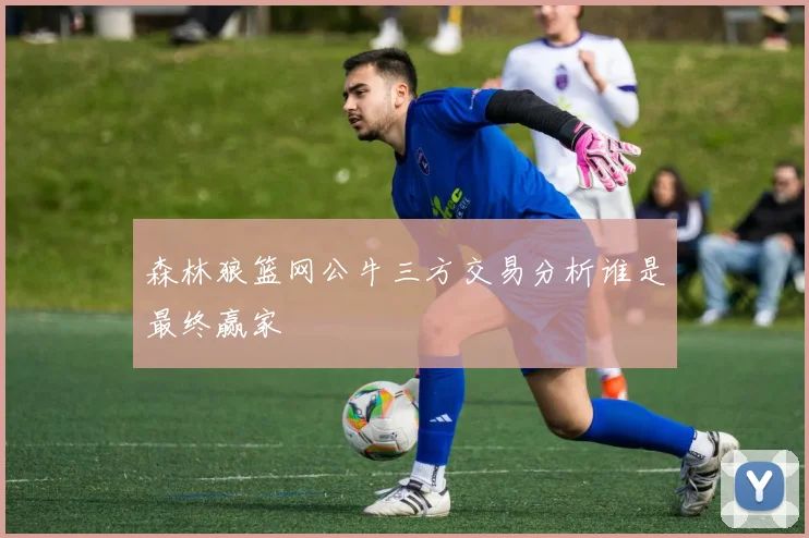森林狼篮网公牛三方交易分析谁是最终赢家